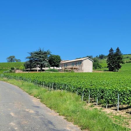 La Maison De Bruno Juliénas Exteriér fotografie