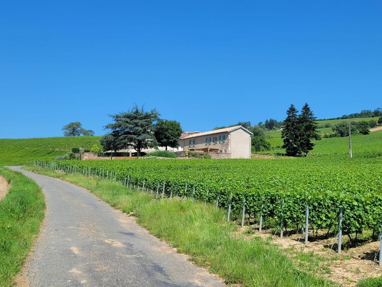 La Maison De Bruno Juliénas Exteriér fotografie